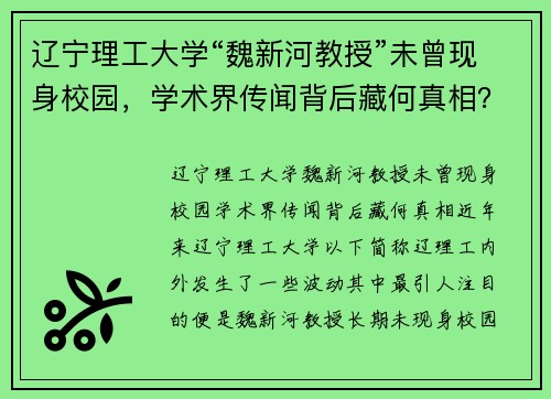 辽宁理工大学“魏新河教授”未曾现身校园，学术界传闻背后藏何真相？