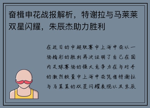 奋楫申花战报解析，特谢拉与马莱莱双星闪耀，朱辰杰助力胜利